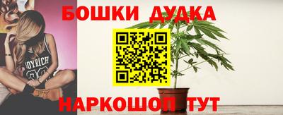 стаф Лесосибирск