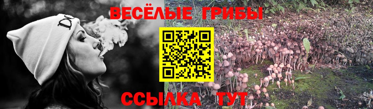 Псилоцибиновые грибы Magic Shrooms Егорьевск
